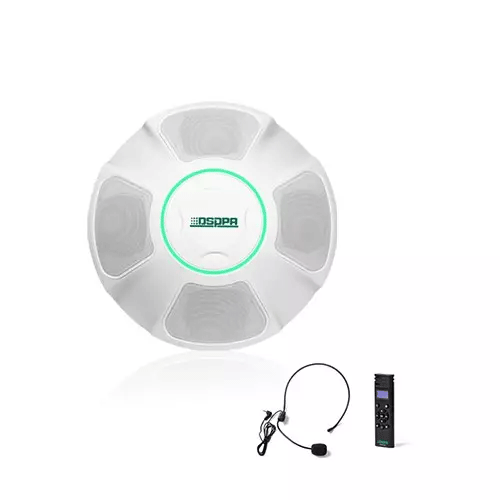 DSPPA MAG6468 IP Network Classroom Ceiling PA Speaker in Bangladesh