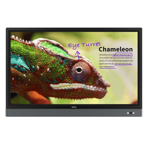 BenQ RM5502K 55'' UHD Education Interactive Flat Panel Display IN Bangladesh