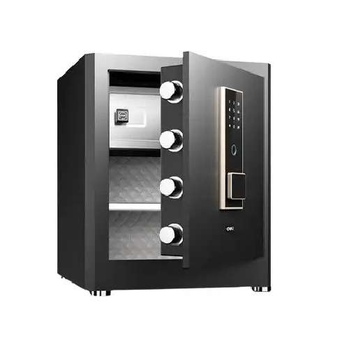 Deli ET595 Fingerprint Password Digital Locker Price in Bangladesh